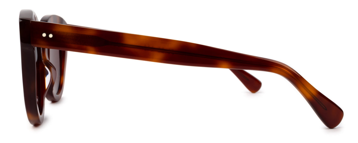 Molly Sunglasses